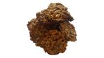 Biscuiți Taler cu semințe 100g - GustOriental.ro