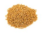Mustar boabe 100g - GustOriental.ro