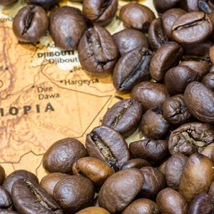 Cafea Ethiopia Yirgacheffee 100g